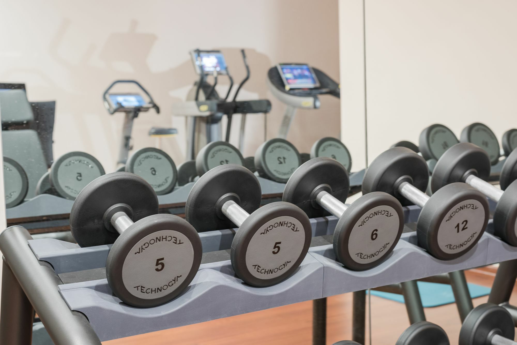 安卡拉市中心阿纳多卢酒店 外观 照片 Dumbbells